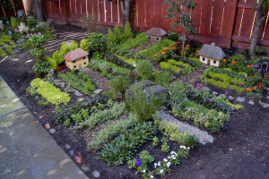 Nancy's Miniature Garden
