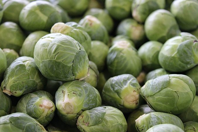 brussels-sprouts-Anne-of-Green-Gardens
