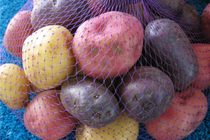 colorful potatoes Anne of Green Gardens