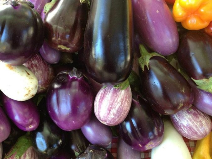 Oodles of eggplant varieties. [H. Guenther]