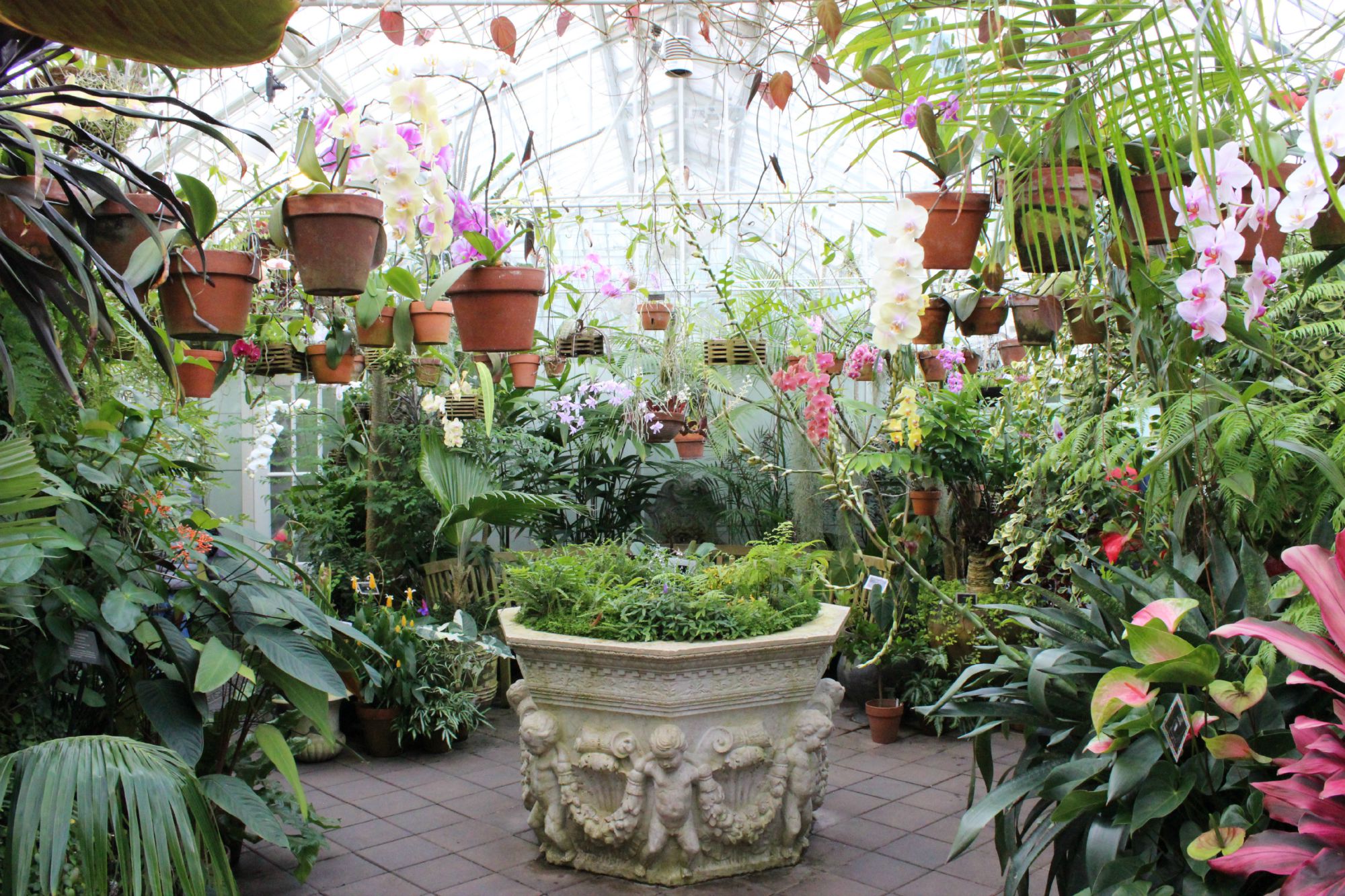 potted-plants-Anne-of-Green-Gardens