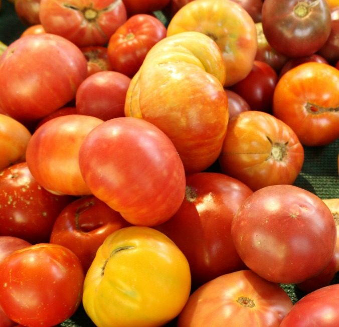 various tomatoes-Anne-of-Green-Gardens